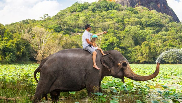 Elephant Back Ride Sri Lanka